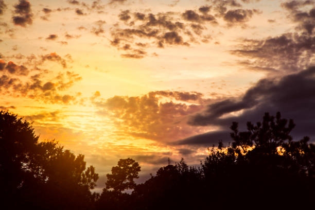 istock Sunset sky with clouds in vibrant hues. 913079004