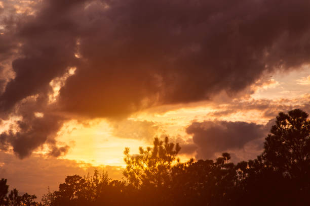 istock Sunset sky with clouds in vibrant hues. 913079038