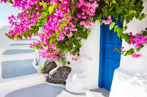 White architecture, blue door and pink flowers. Santorini island, Greece.
