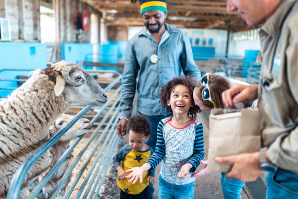 istock Children feeding a sheep on a farm 913083910