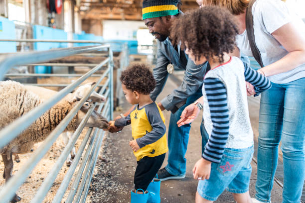 istock Family feeding animals on a farm 913083956
