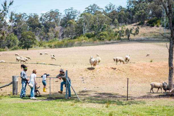 Family and a farm worker exploring the farm