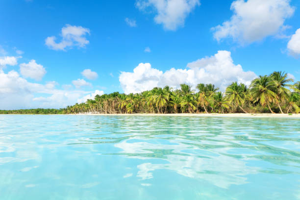 istock Vacation in Dominican Republic 913084030
