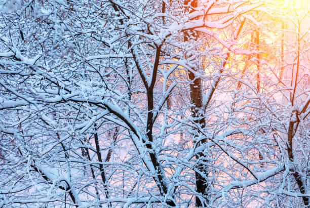 istock Russian winter view from the balcony 913084710