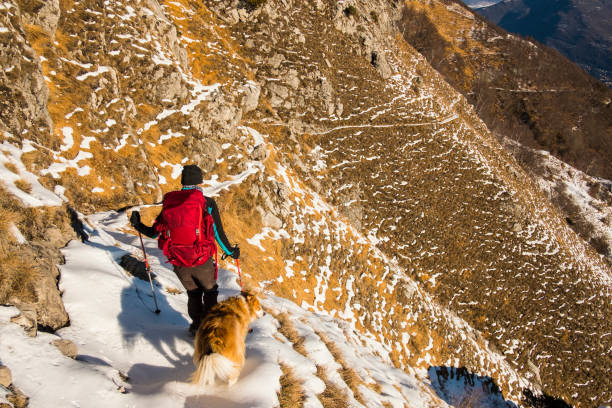 istock Hiker woman with dog walking on mountain path 913090442