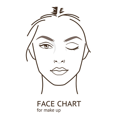 Face Chart Stock Illustration - Download Image Now - Human Face, Women ...