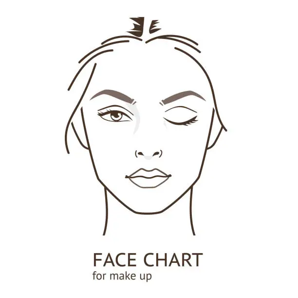 Vector illustration of face chart