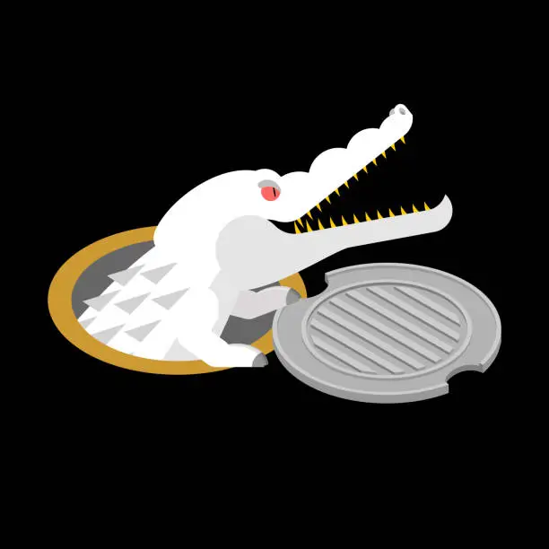 Vector illustration of Albino alligator in manhole cover. Crocodile White Monster in sewer hatch. Predator animal in well hatch. City legend. Vector illustration