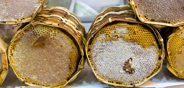 istock Fresh honey in the sealed comb frame 913105324