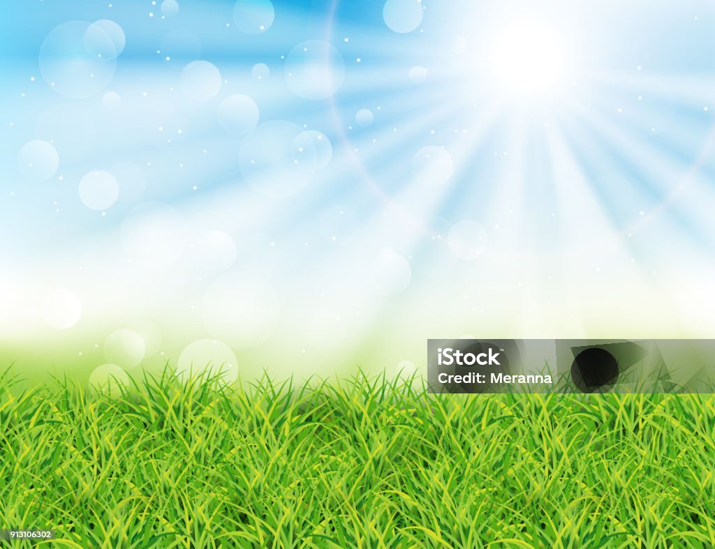 Spring or summer sunny day vector illustration. Spring or summer sunny day vector illustration. Green grass, rays of sun and bokeh. Landscape Backgrounds stock vector