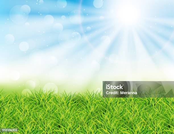 Spring Or Summer Sunny Day Vector Illustration Stock Illustration - Download Image Now - Backgrounds, Summer, Day