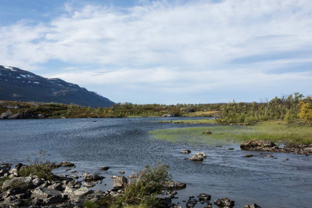 istock Kong Olavs Veg -Swedish landscape 913109320