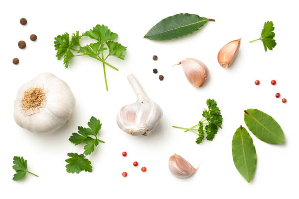 garlic, bay leaves, parsley, allspice, pepper isolated on white background - herbal medicine fotos imagens e fotografias de stock