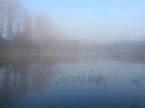 Misty landscape in the Park Salburua. Vitoria-Gasteiz. Spain