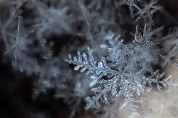 istock Natural snowflake close-up. Winter, cold. 913113308