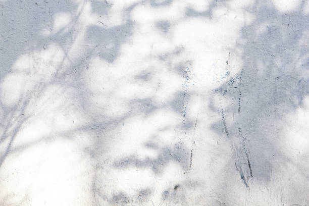 istock The Old grunge street wall texture background with tree shadow 913113974