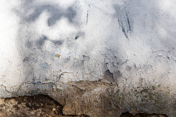 istock The Old grunge street wall texture background with tree shadow 913114182