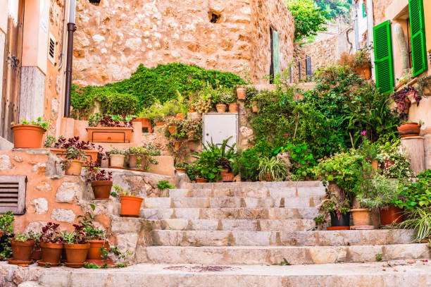 istock Beautiful streets with potted plants on Majorca island, Spain 913117868