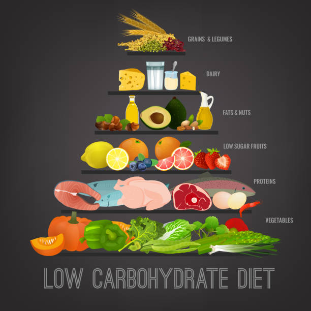 낮은 탄수화물 다이어트 - low carb diet stock illustrations