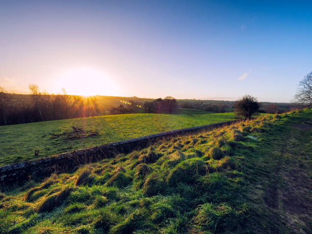 istock Scenic View Of Field Against Clear Sky During Sunset 913142296