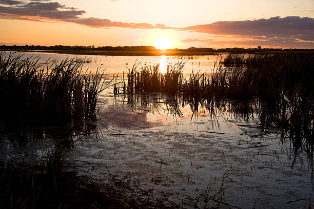istock Sunset on a Prairie Swamp 91314345