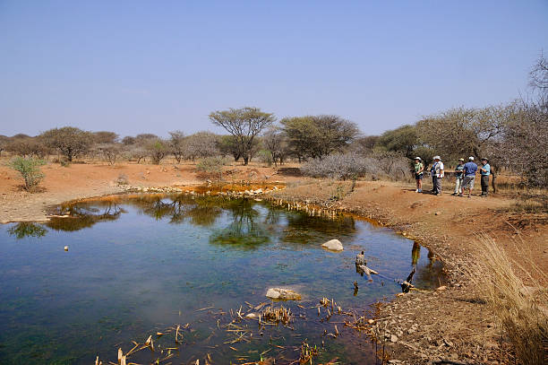 A group of birders at the watering hole in the Polokwane Nature Reserve in Limpopo South Africa. A typical safari scene.
