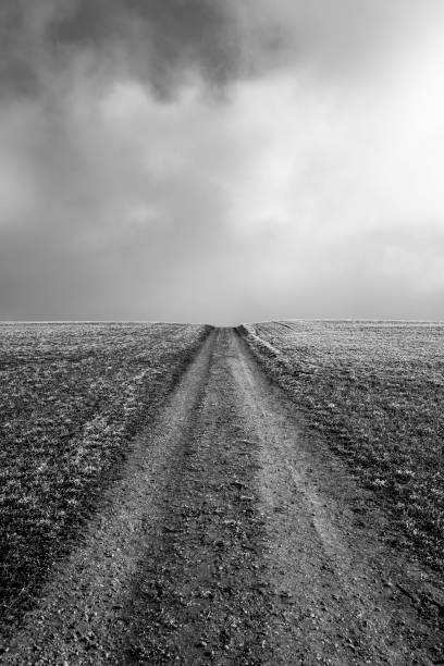 istock Scenic View Of Landscape Against Sky 913157950
