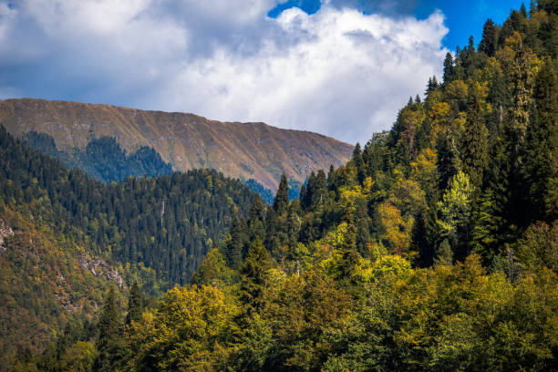 istock large dense mountain against a blue sky with clouds 913159076