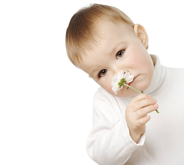 Cute child is smelling single daisy stock photo