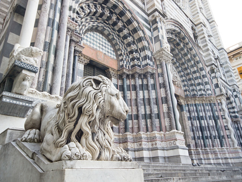 Statue of lion outside the church or cathedral the place is famous in the city center in Genoa Italy, Cattedrale di San Lorenzo