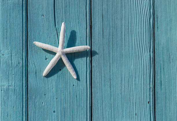 istock Summer holiday background with starfish decoration 913168608