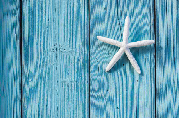 istock Summer background with white sea star on blue wood 913168860