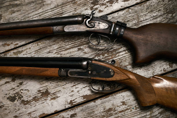 istock Two old antique shotguns rifle 913171442