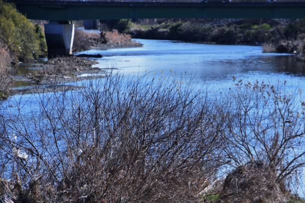 istock Riverside scenery of Japan 913171990
