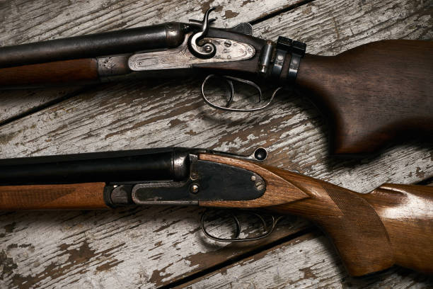 istock Two old antique shotguns rifle 913171994