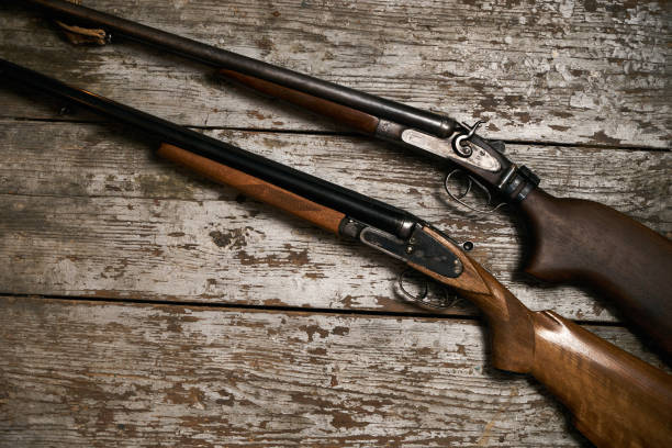 istock Two old antique shotguns rifle 913172302