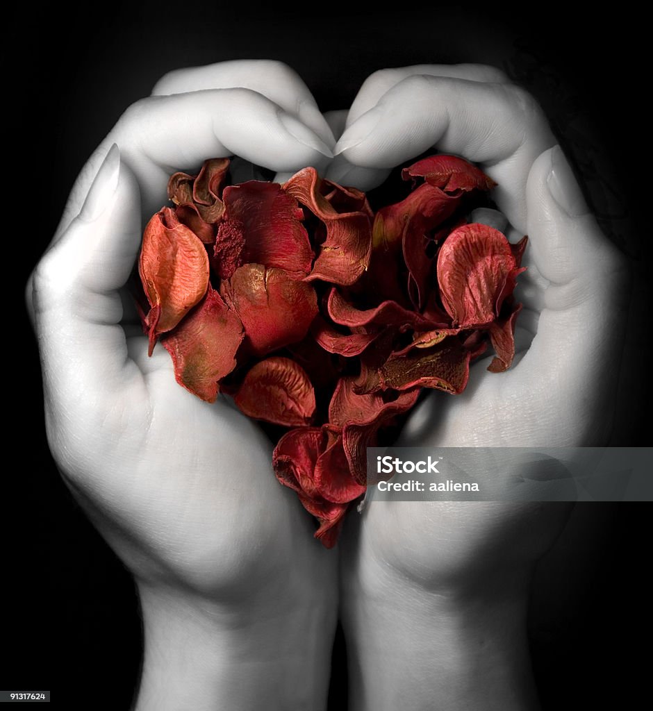 Corazón de pétalos color rojo - Foto de stock de Parejas libre de derechos