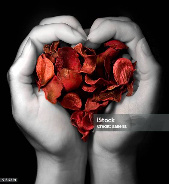 Heart Of Red Petals Stock Photo - Download Image Now - Beautiful People, Couple - Relationship, Heart Shape