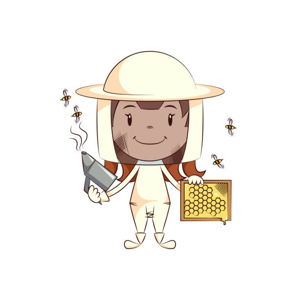 Girl beekeeper Child beekeeper, cute kid harvesting honey, girl wearing white protective workwear, holding smoker, honeycomb, young woman, person, happy cartoon character, vector illustration, isolated, white background woman beehive stock illustrations