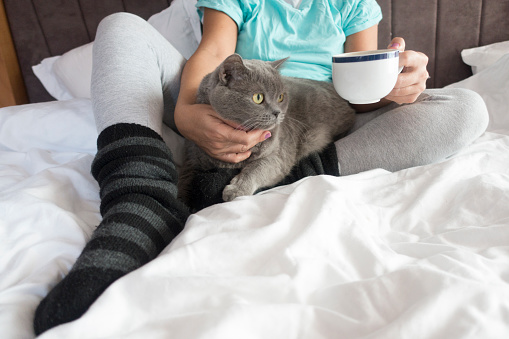 Woman with cat and coffee  in bed at home