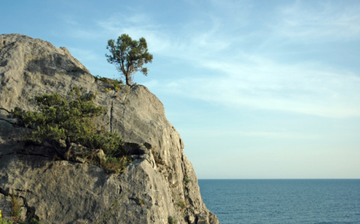 The Beautiful Nature of Dugi Otok Island, Dalmatia, Croatia