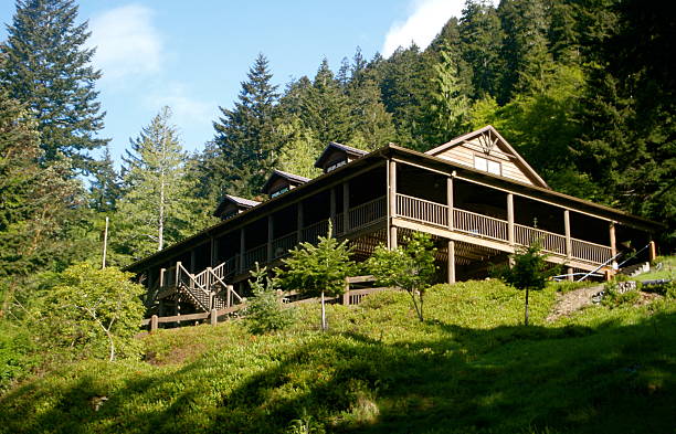 istock Retreat Lodge In The Forest 91319010