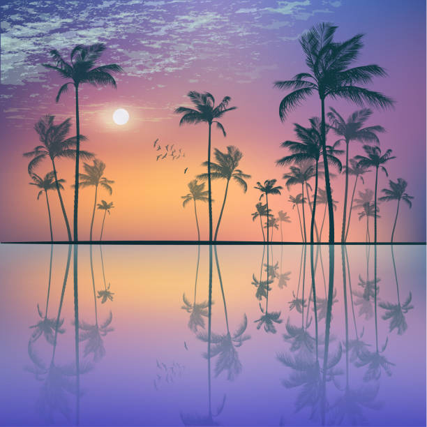 istock Silhouette of tropical palm trees  at sunset or sunrise, with cloudy sky . 913203088