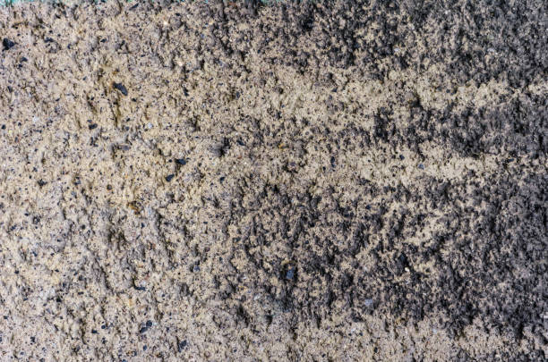 istock texture of gray decorative plaster on the whole frame 913207310
