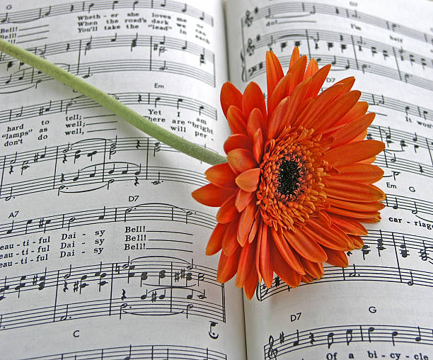 Orange Gerbera on the Sheet Music Daisy Bell stock photo