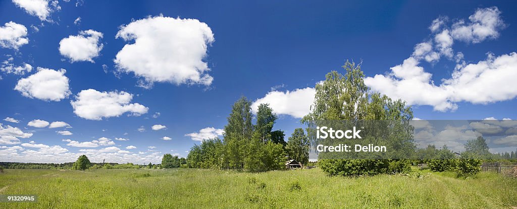 Green Campo - Royalty-free Agricultura Foto de stock