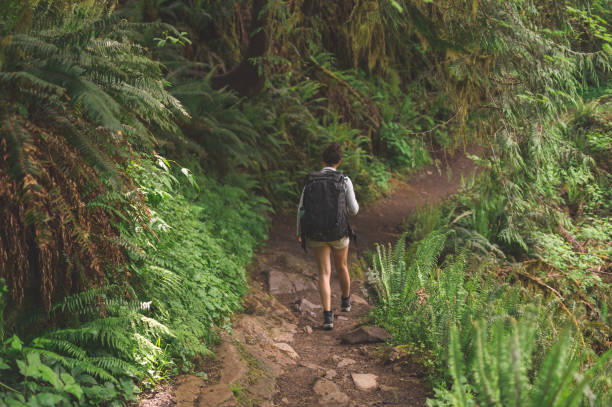 istock Solo woman hiker 913210292
