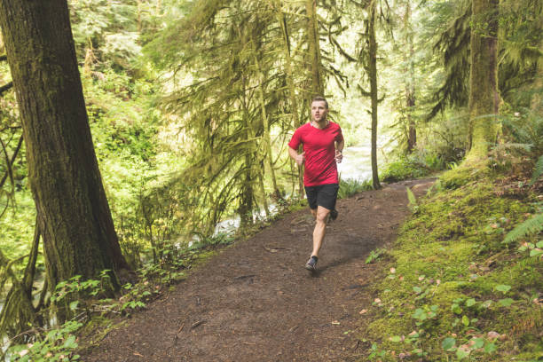 istock Male athlete trail running in forest 913210304