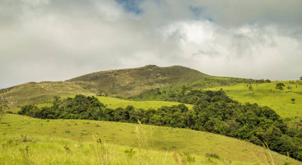 istock National park brazil serra da canastra 913213434