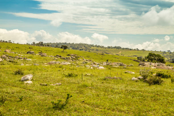 istock National park brazil serra da canastra 913213782